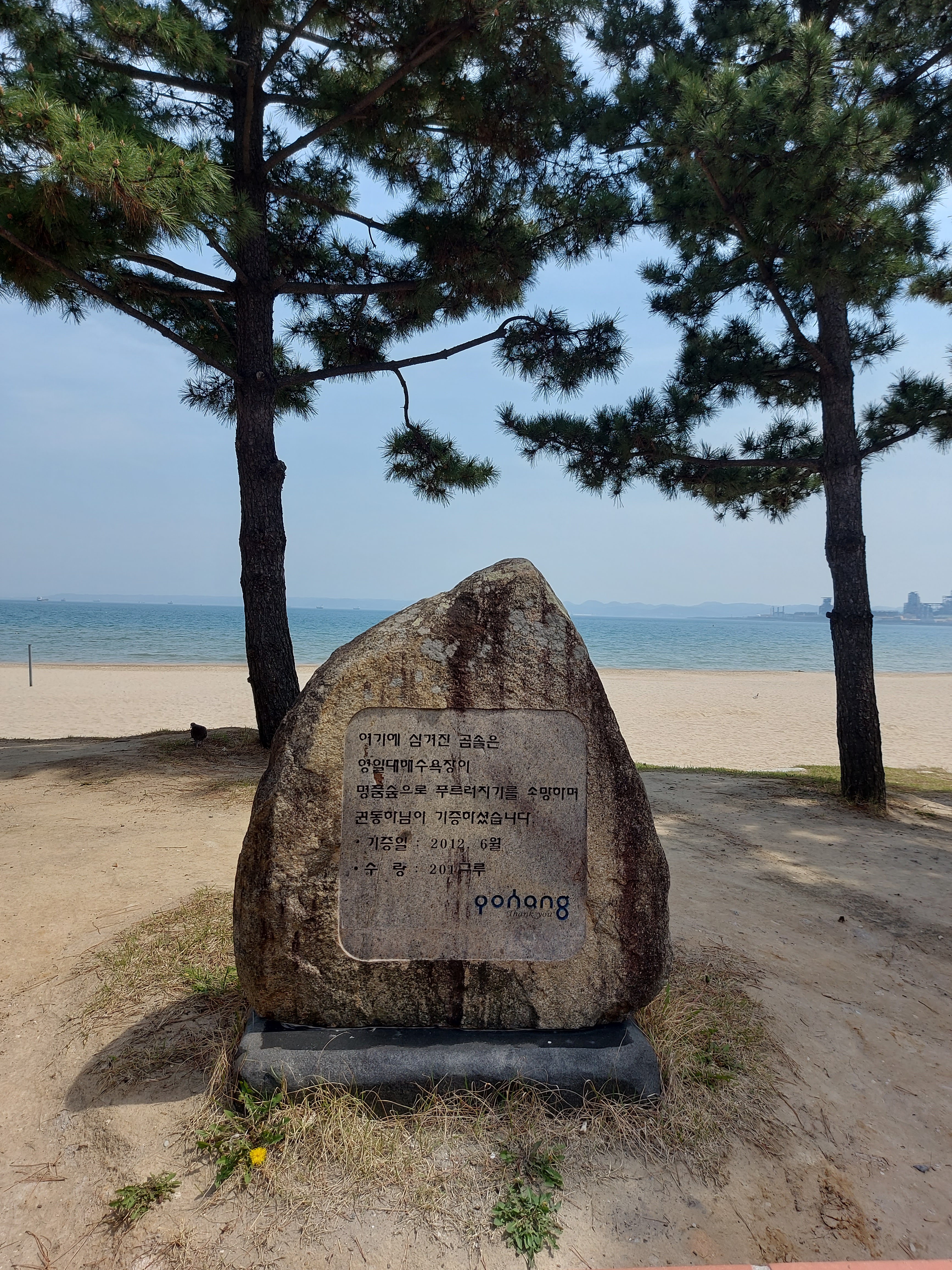 正东海面上的新年日出（해돋이），红光铺满海平线。